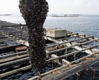 Galicia region, Spain